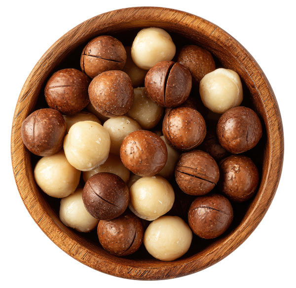 Bowl of Macadamias